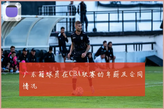 广东籍球员在CBA联赛的年薪及合同情况