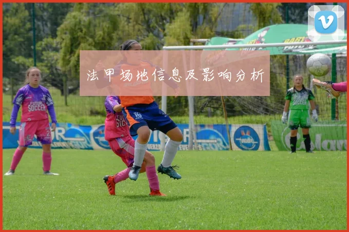 法甲场地信息及影响分析