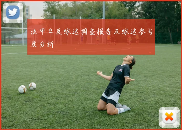 法甲年度球迷调查报告及球迷参与度分析