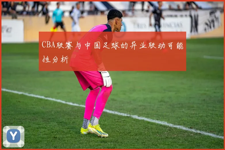 CBA联赛与中国足球的异业联动可能性分析